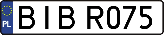 BIBR075