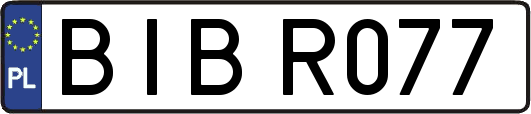 BIBR077