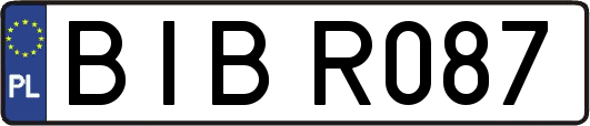 BIBR087