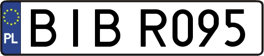 BIBR095
