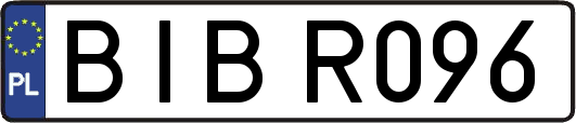 BIBR096