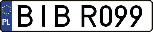 BIBR099
