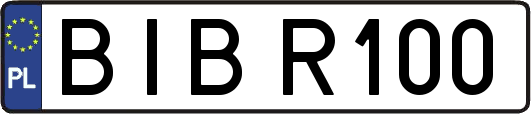 BIBR100