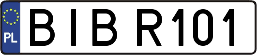 BIBR101