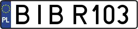 BIBR103