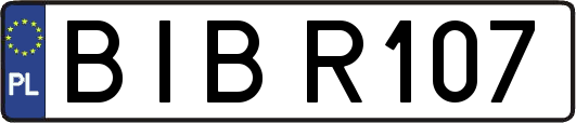 BIBR107