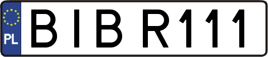 BIBR111