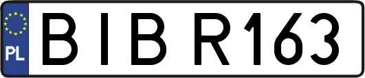 BIBR163