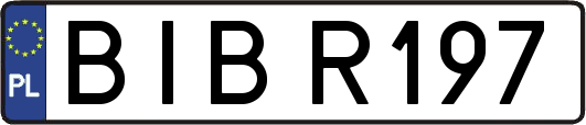 BIBR197