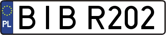 BIBR202