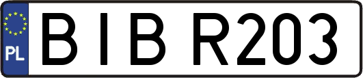BIBR203
