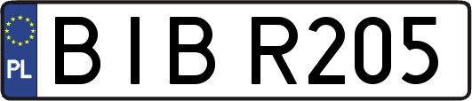 BIBR205