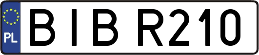 BIBR210