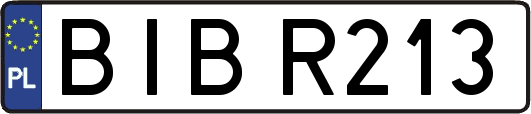 BIBR213