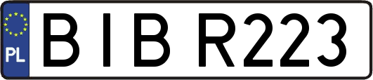 BIBR223