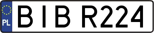 BIBR224