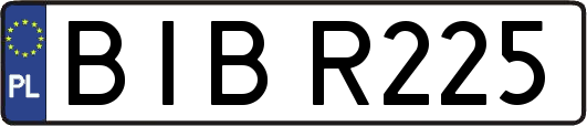 BIBR225