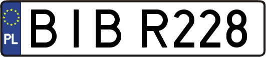 BIBR228