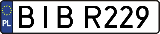 BIBR229