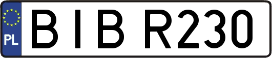 BIBR230