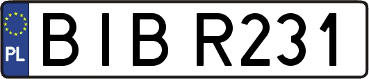 BIBR231