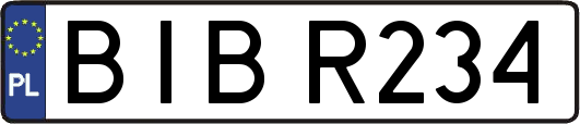 BIBR234