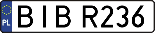 BIBR236