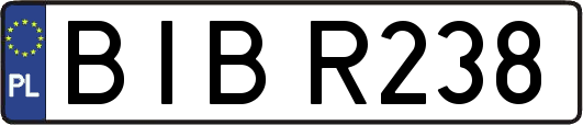BIBR238