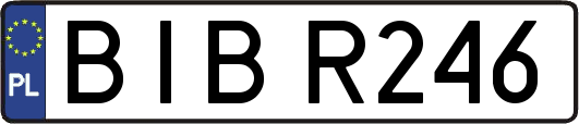 BIBR246