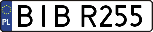 BIBR255