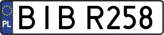 BIBR258