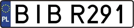 BIBR291