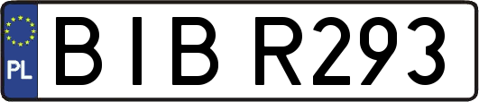 BIBR293