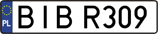 BIBR309
