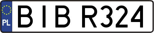 BIBR324