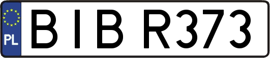 BIBR373