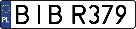 BIBR379