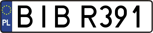 BIBR391
