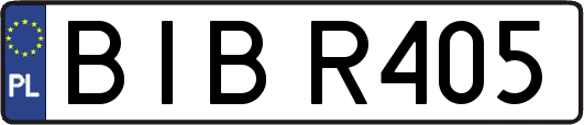 BIBR405