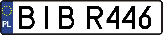 BIBR446