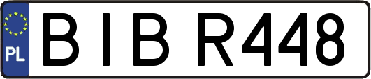 BIBR448