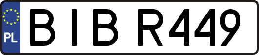 BIBR449
