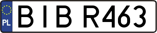 BIBR463