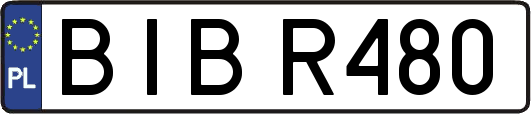 BIBR480