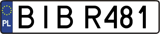 BIBR481