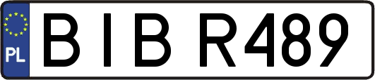 BIBR489