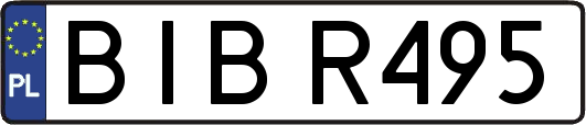 BIBR495