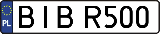 BIBR500