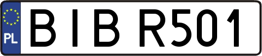 BIBR501