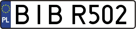 BIBR502